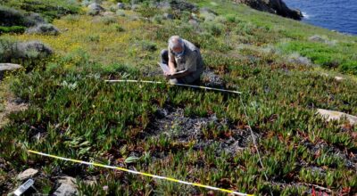 Rinnovato l’accordo scientifico con l’Università di Firenze per monitorare la vegetazione delle isole minori dell’Arcipelago Toscano