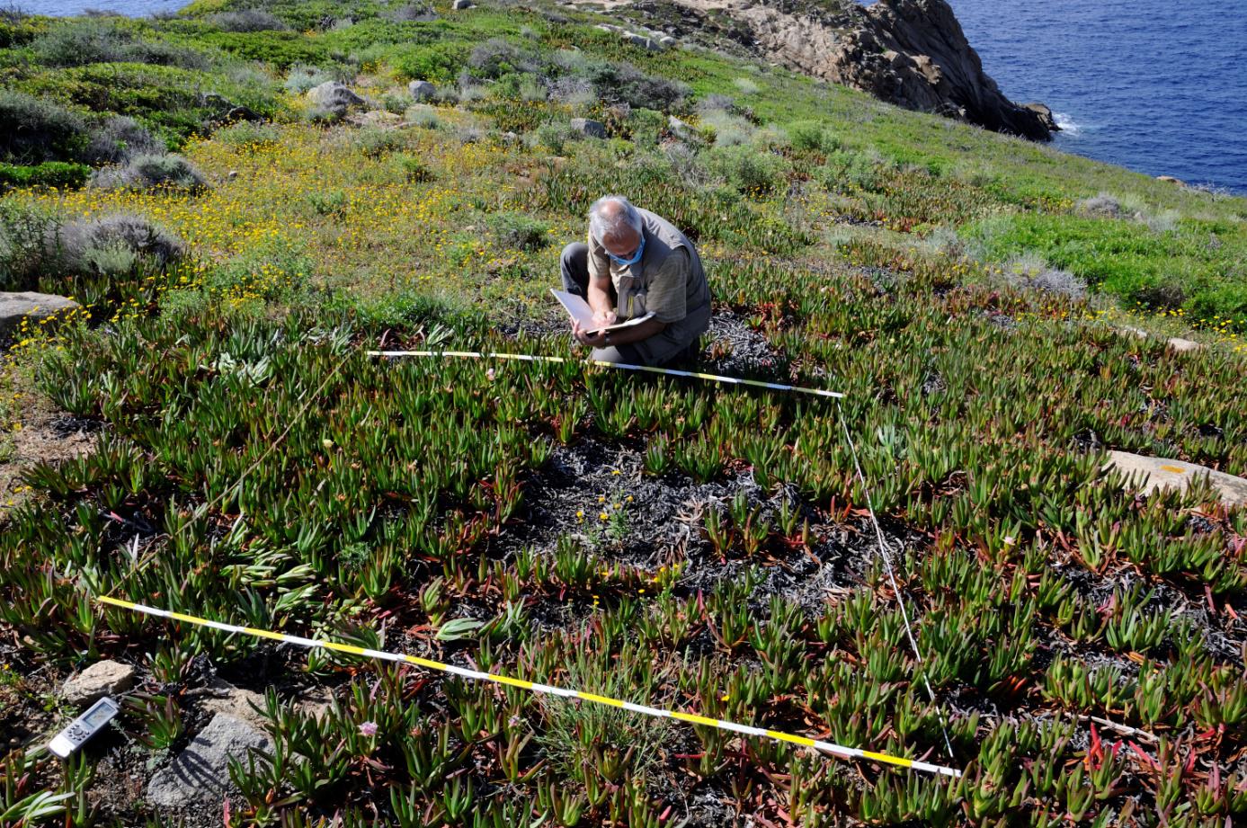 Rinnovato l’accordo scientifico con l’Università di Firenze per monitorare la vegetazione delle isole minori dell’Arcipelago Toscano