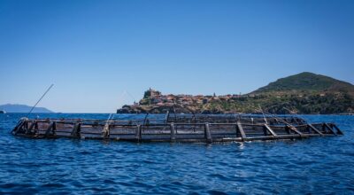Parco Nazionale Arcipelago Toscano: accordo con la Maricoltura di Capraia per l’utilizzo dell’emblema del Parco