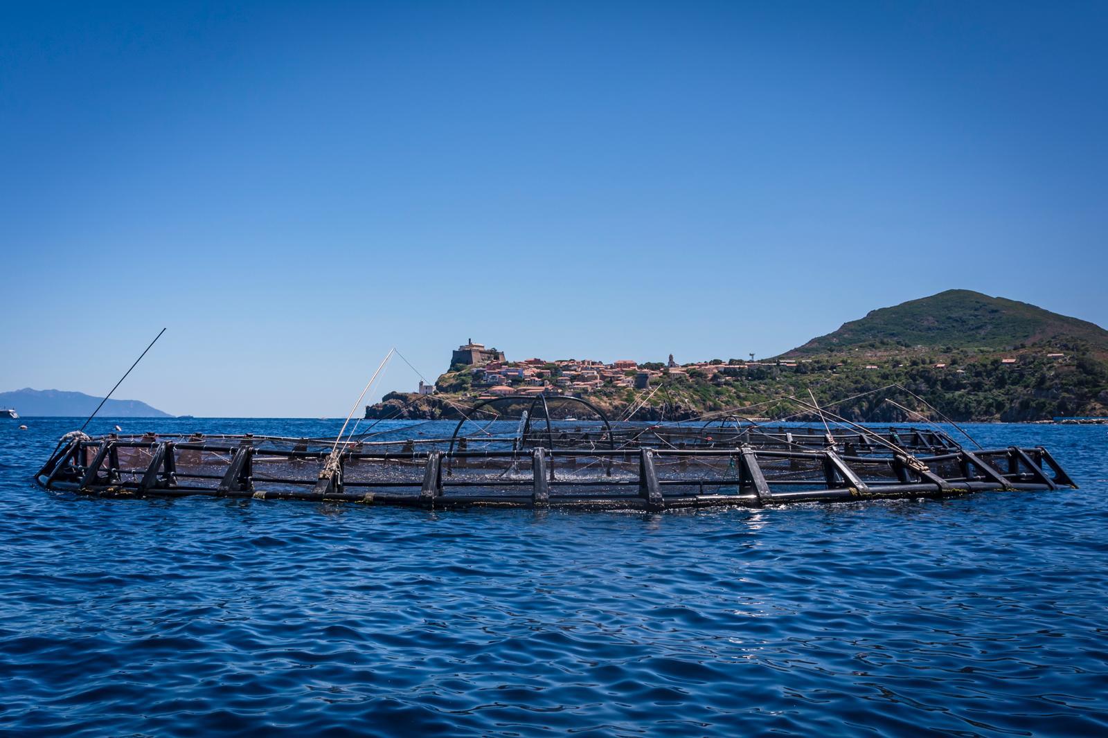 Parco Nazionale Arcipelago Toscano: accordo con la Maricoltura di Capraia per l’utilizzo dell’emblema del Parco