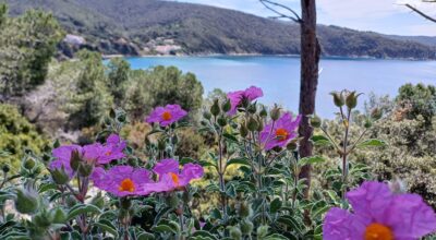 Pasqua 2026 nell’Arcipelago Toscano: escursioni tra natura, storia ed enogastronomia nelle isole del Parco