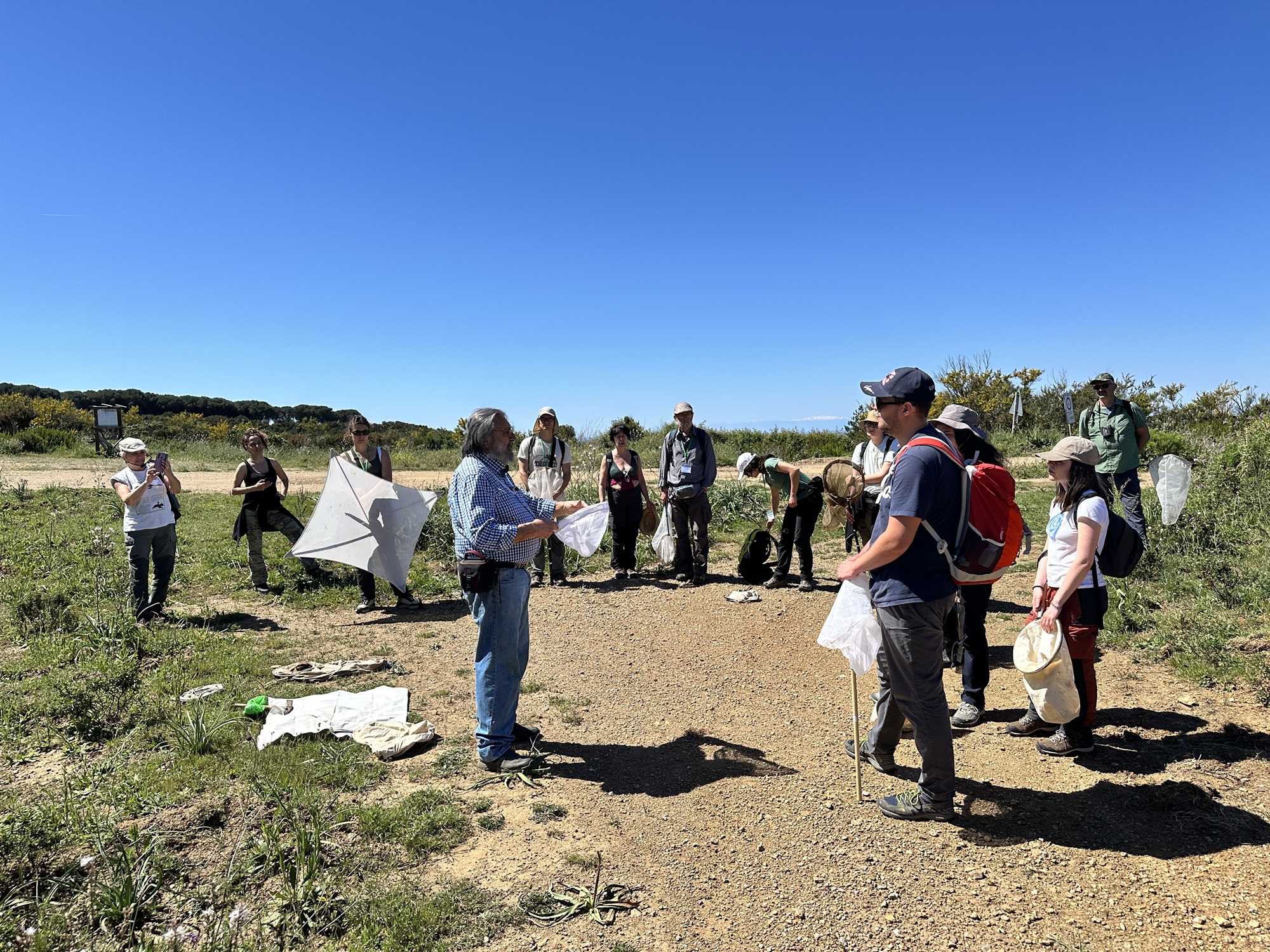 WBA entomologi al lavoro 
