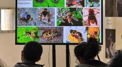 Spring school in Entomology 2026”: cresce una nuova generazione di entomologi all’Isola d’Elba