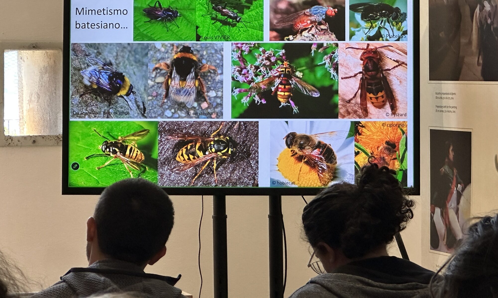Spring school in Entomology 2026”: cresce una nuova generazione di entomologi all’Isola d’Elba