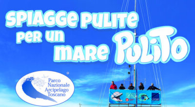 Spiagge pulite per un mare pulito per la Giornata della Biodiversità 2026