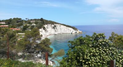 Imprese e biodiversità: il Parco Nazionale dell’Arcipelago Toscano diventa partner strategico per il mondo corporate