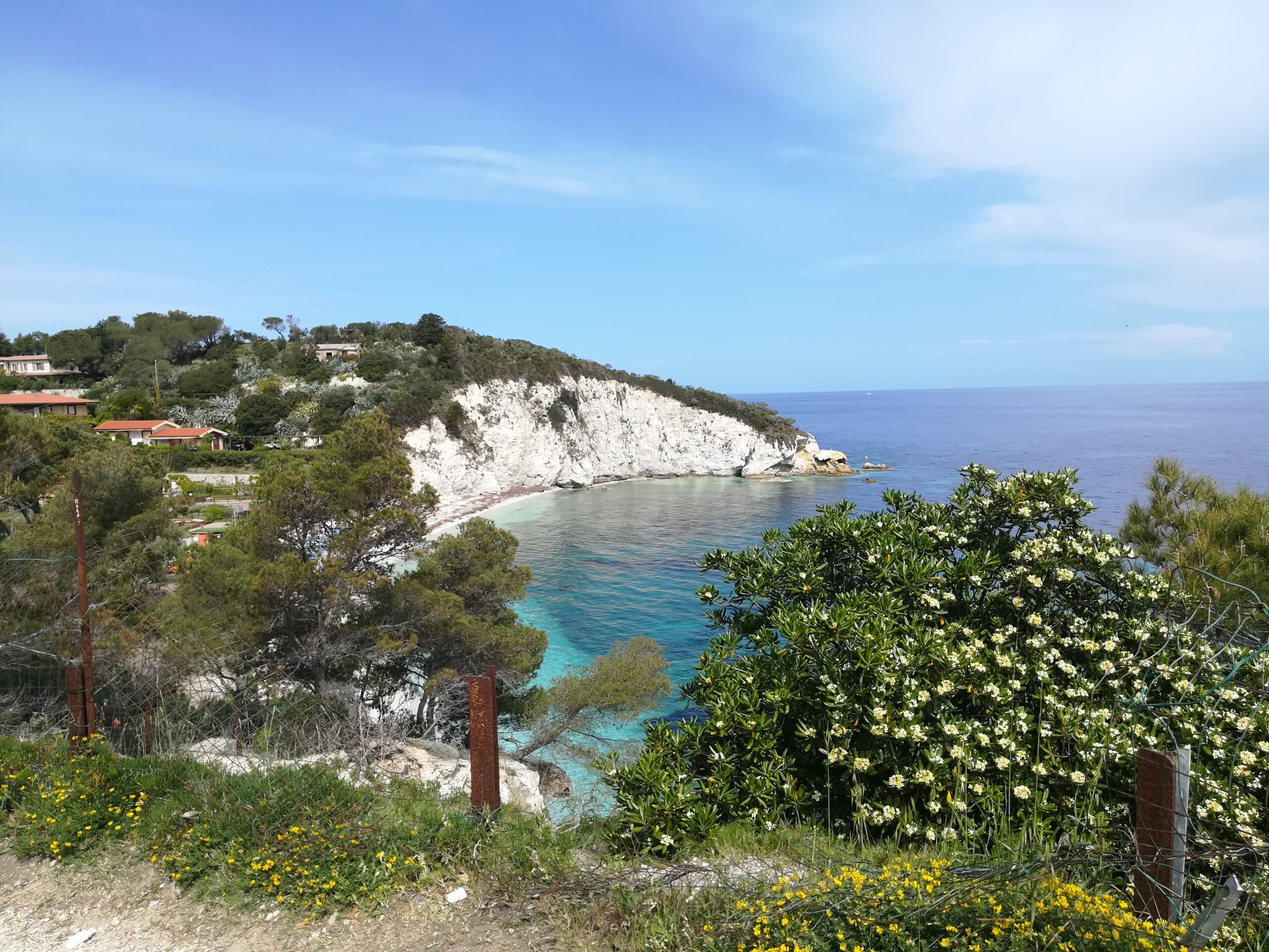 Imprese e biodiversità: il Parco Nazionale dell’Arcipelago Toscano diventa partner strategico per il mondo corporate