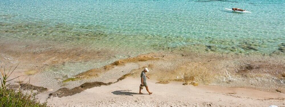 Il Parco Nazionale avvia un’indagine sui visitatori di Pianosa