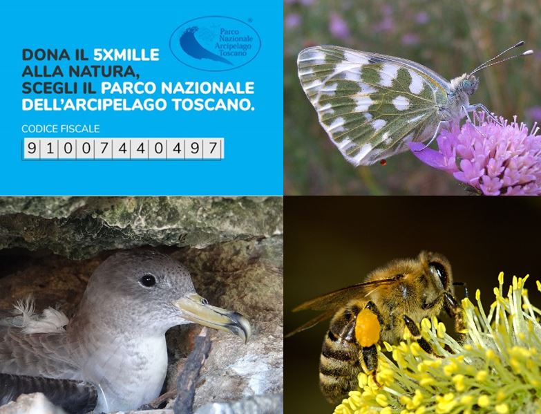 dona il 5X1000 alla natura