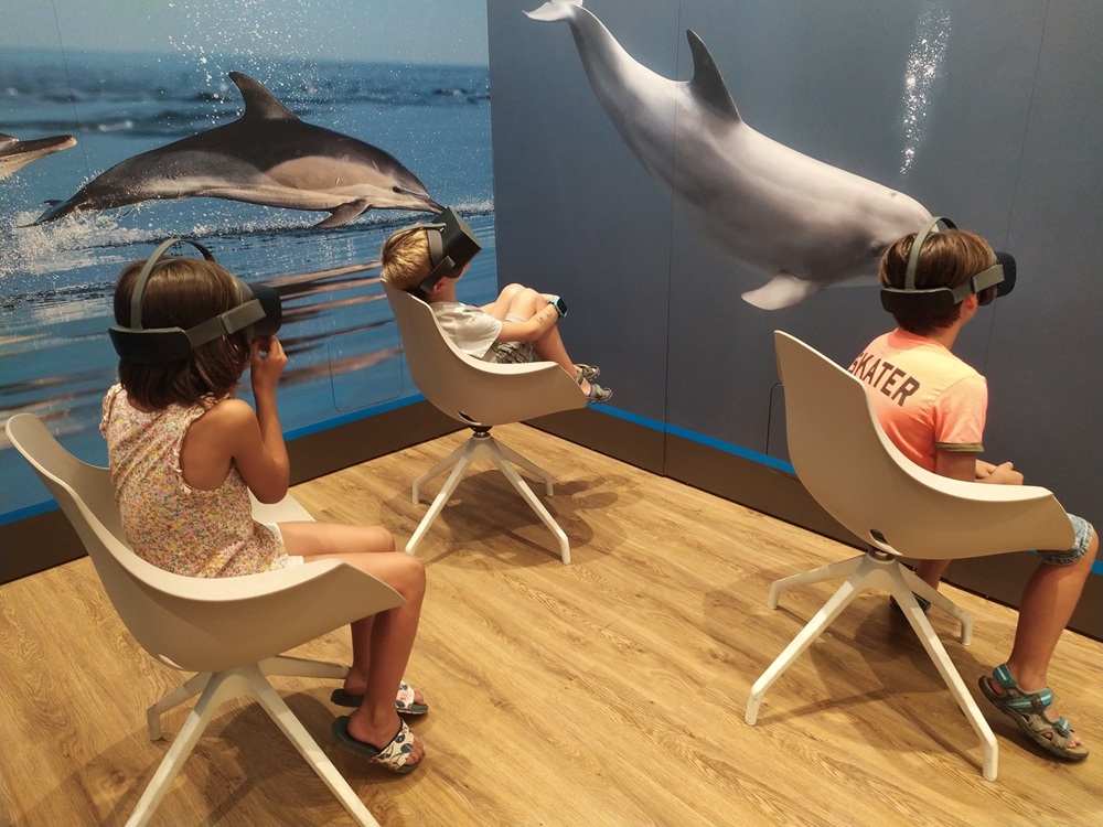 Catalogo di educazione ambientale per l’anno scolastico 2026-2027 come si aderisce